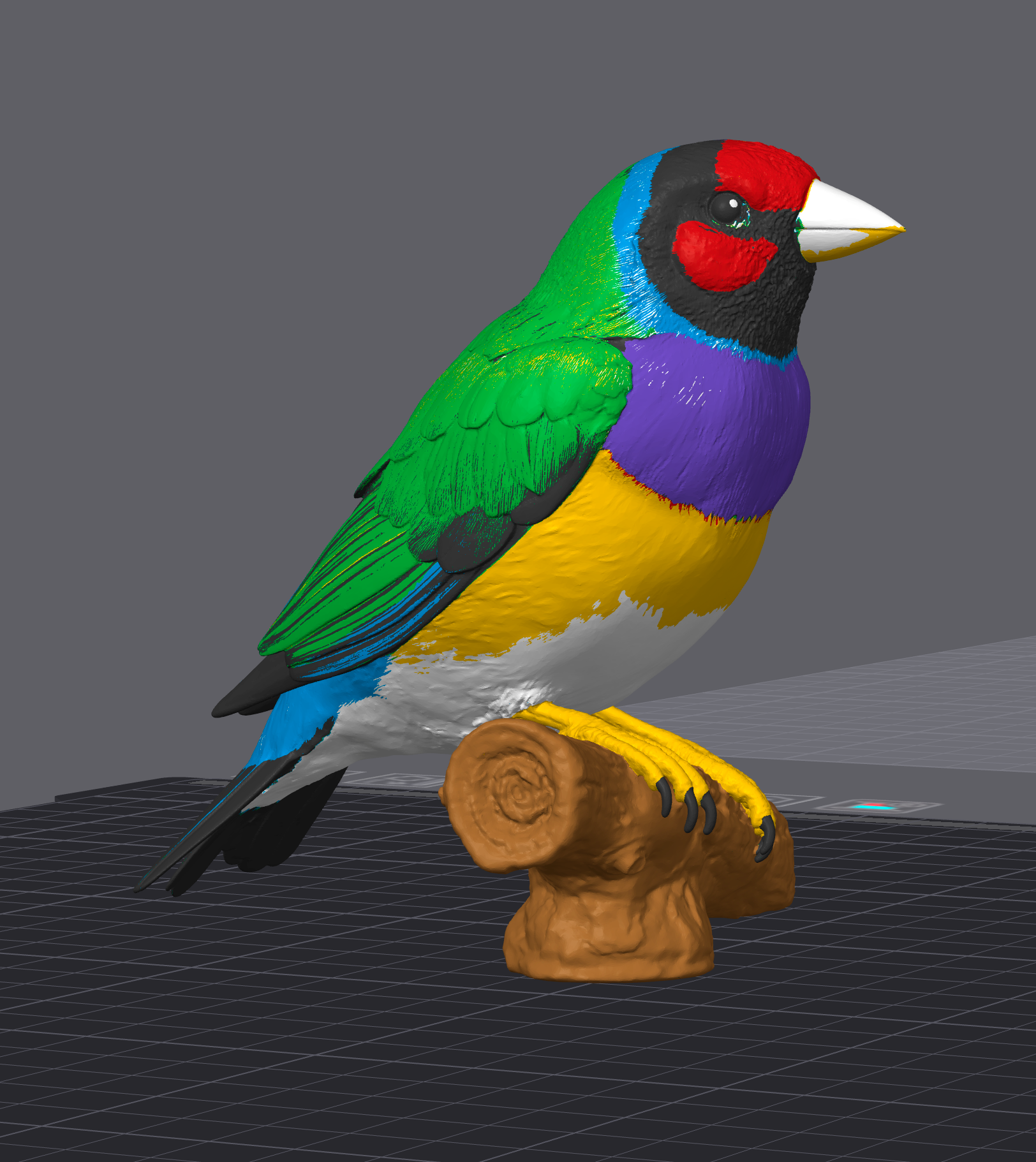 Gouldian Finch- Commercial License