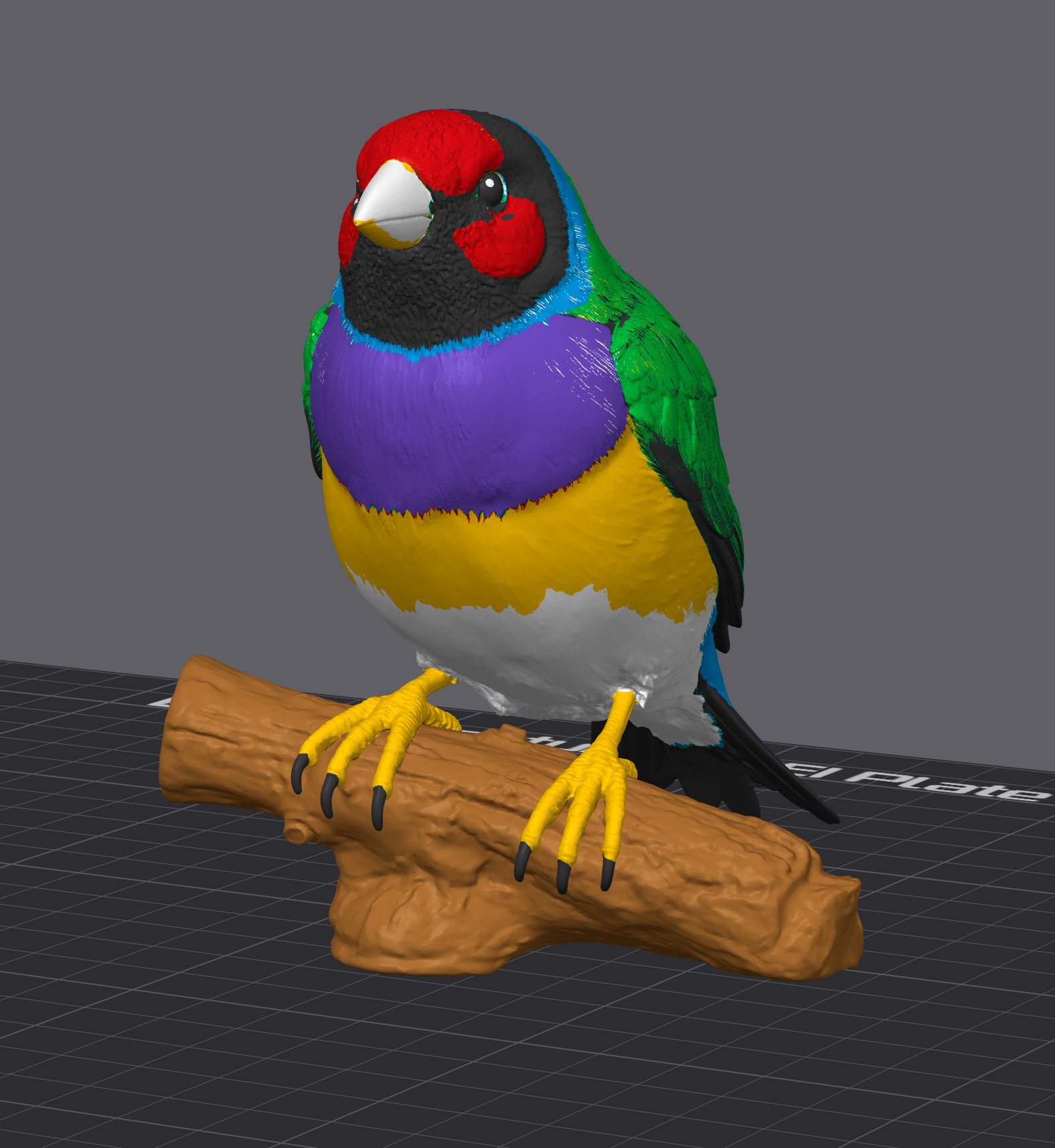 Gouldian Finch- Commercial License