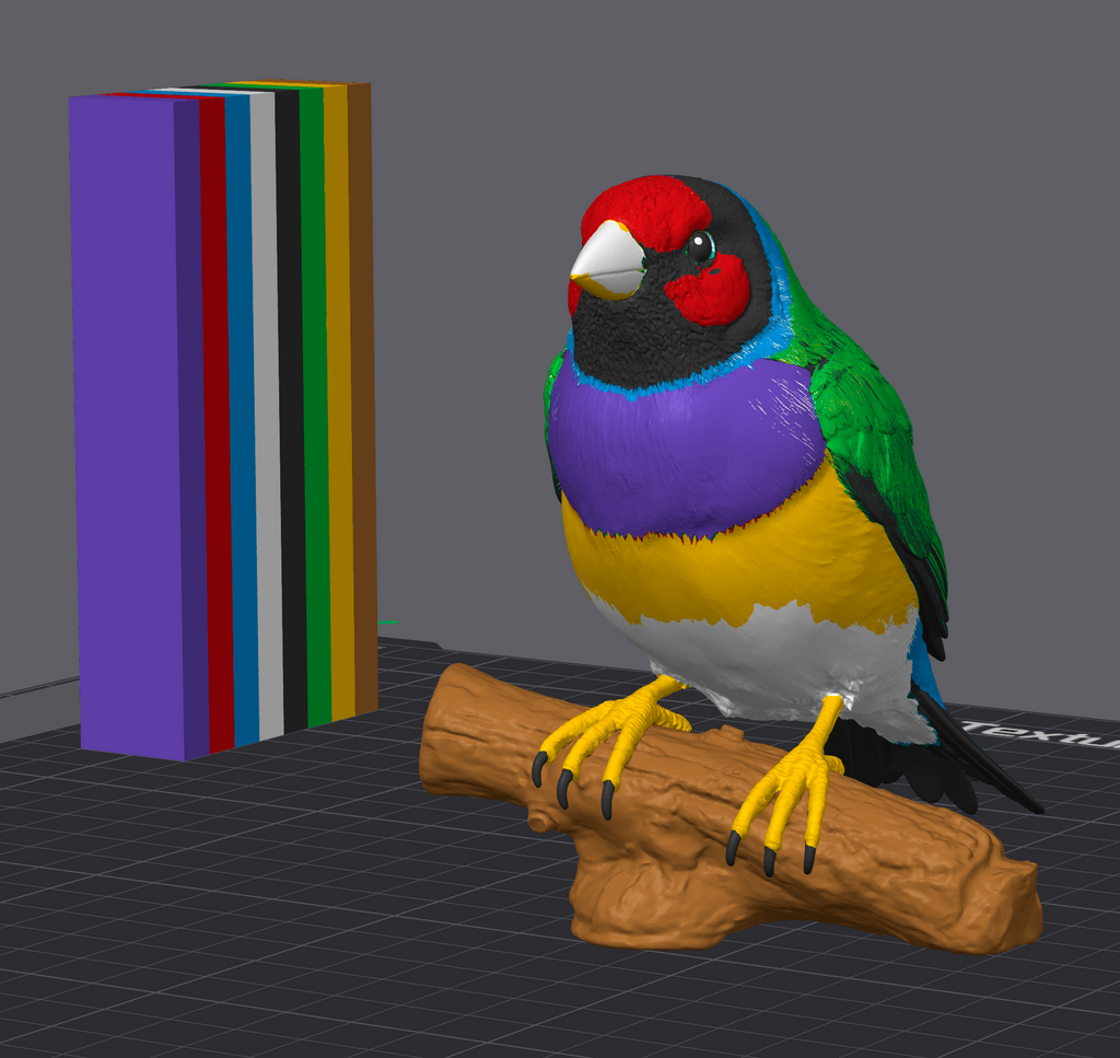 Gouldian Finch- Commercial License