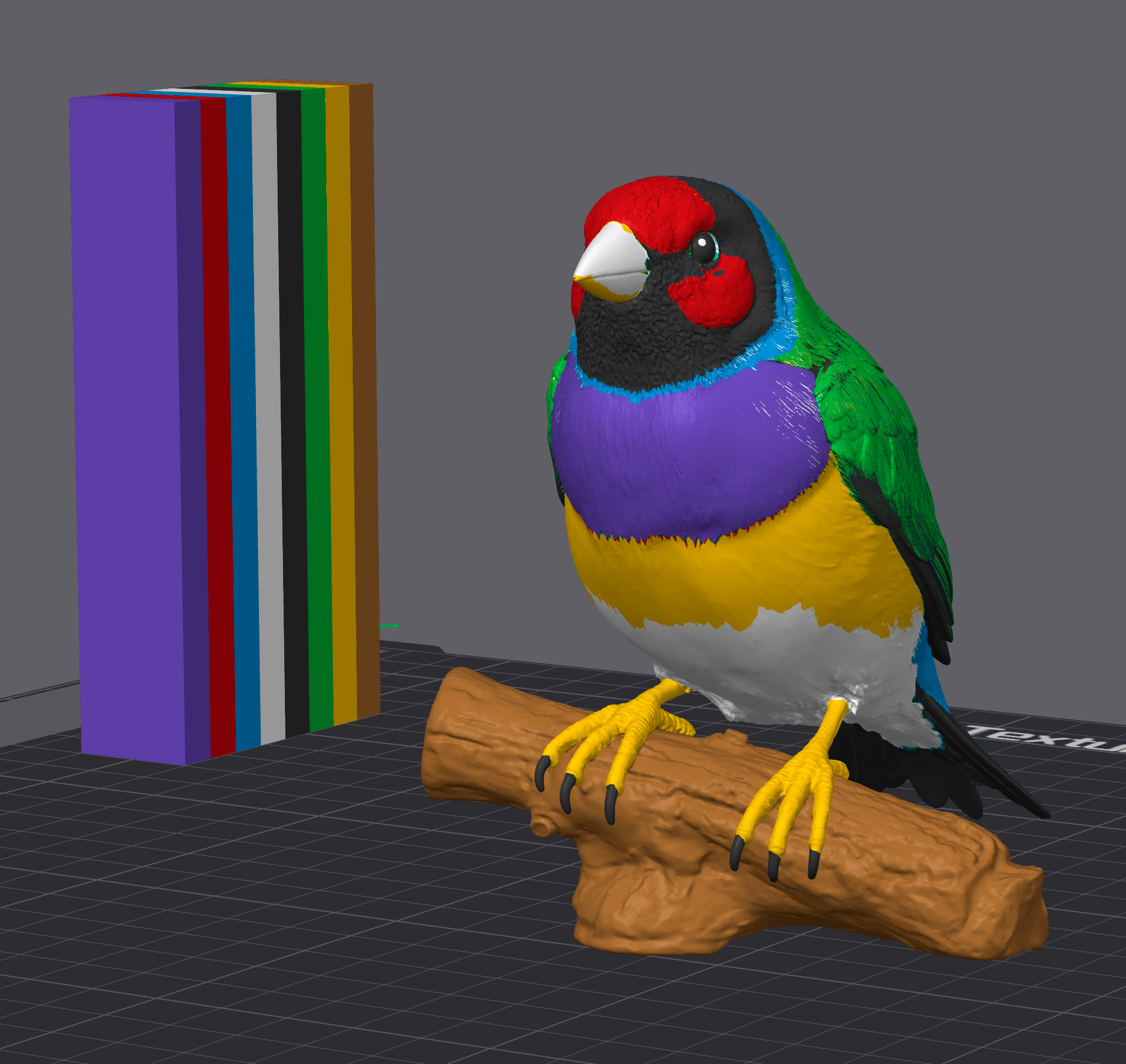 Gouldian Finch- Commercial License