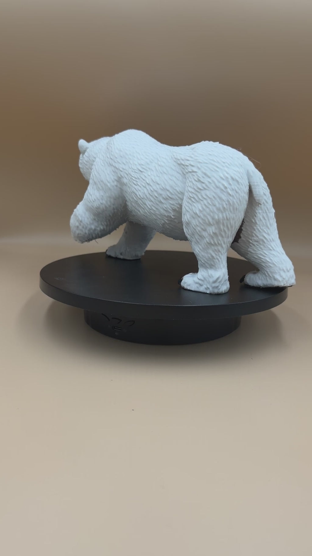 Polar Bear