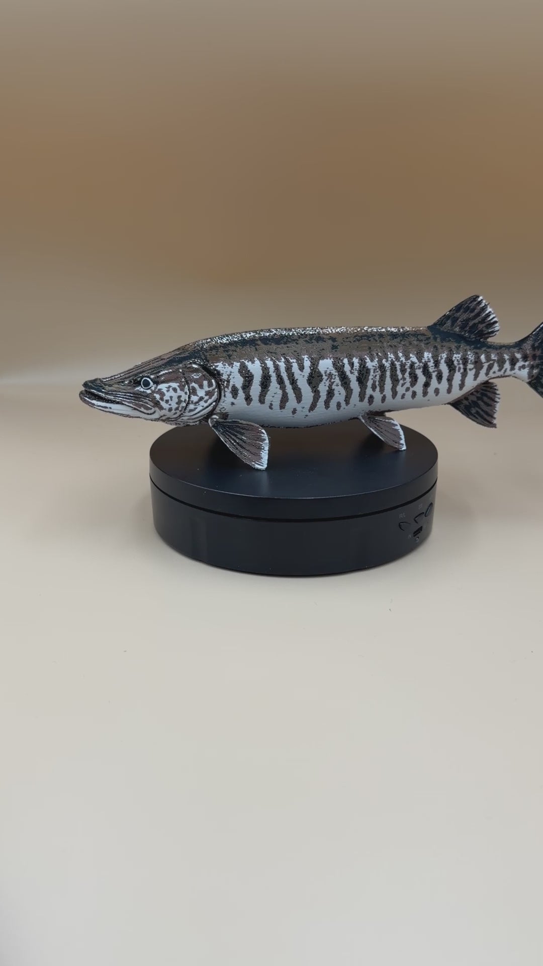 Tiger Muskie Fish