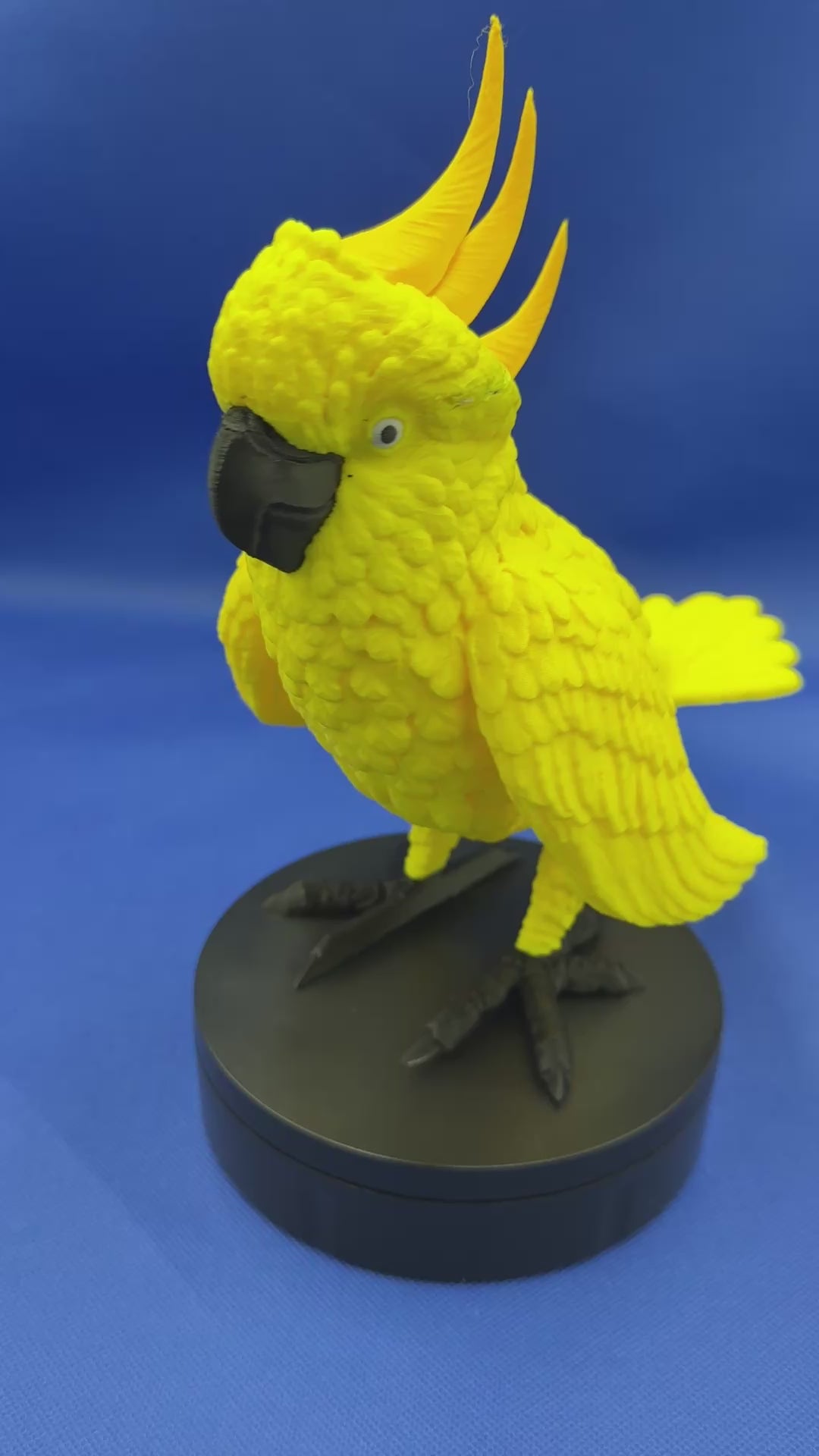 Yellow Parrot