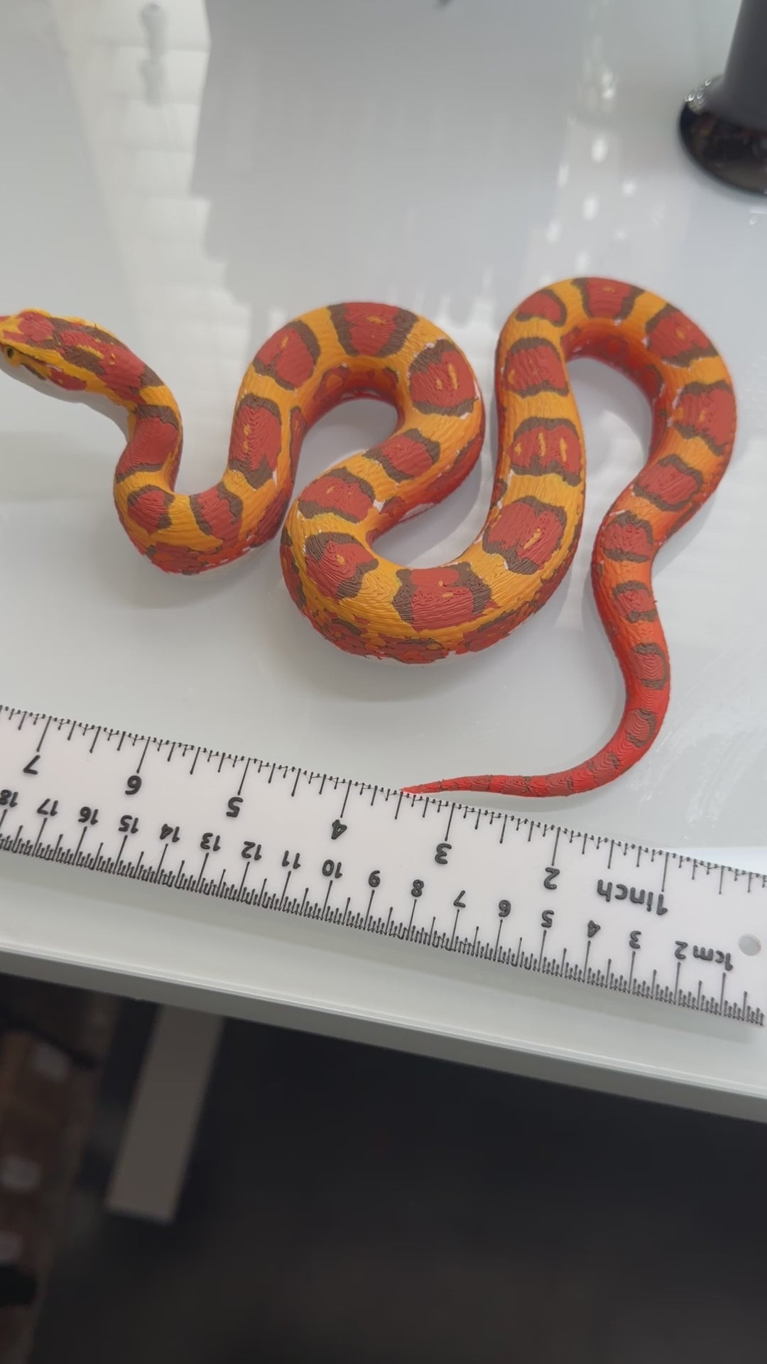 Harvest King Corn Snake - PLA Indoors