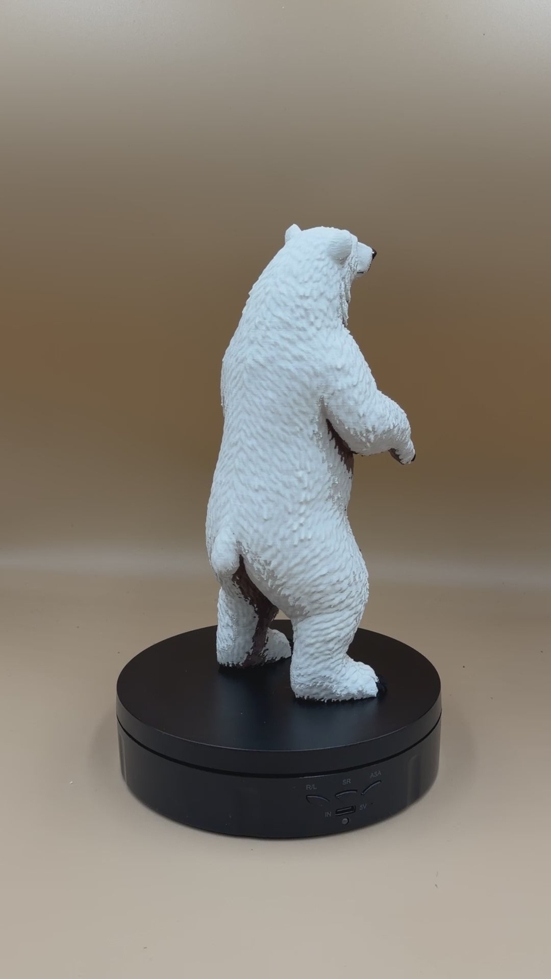 Polar Bear Standing