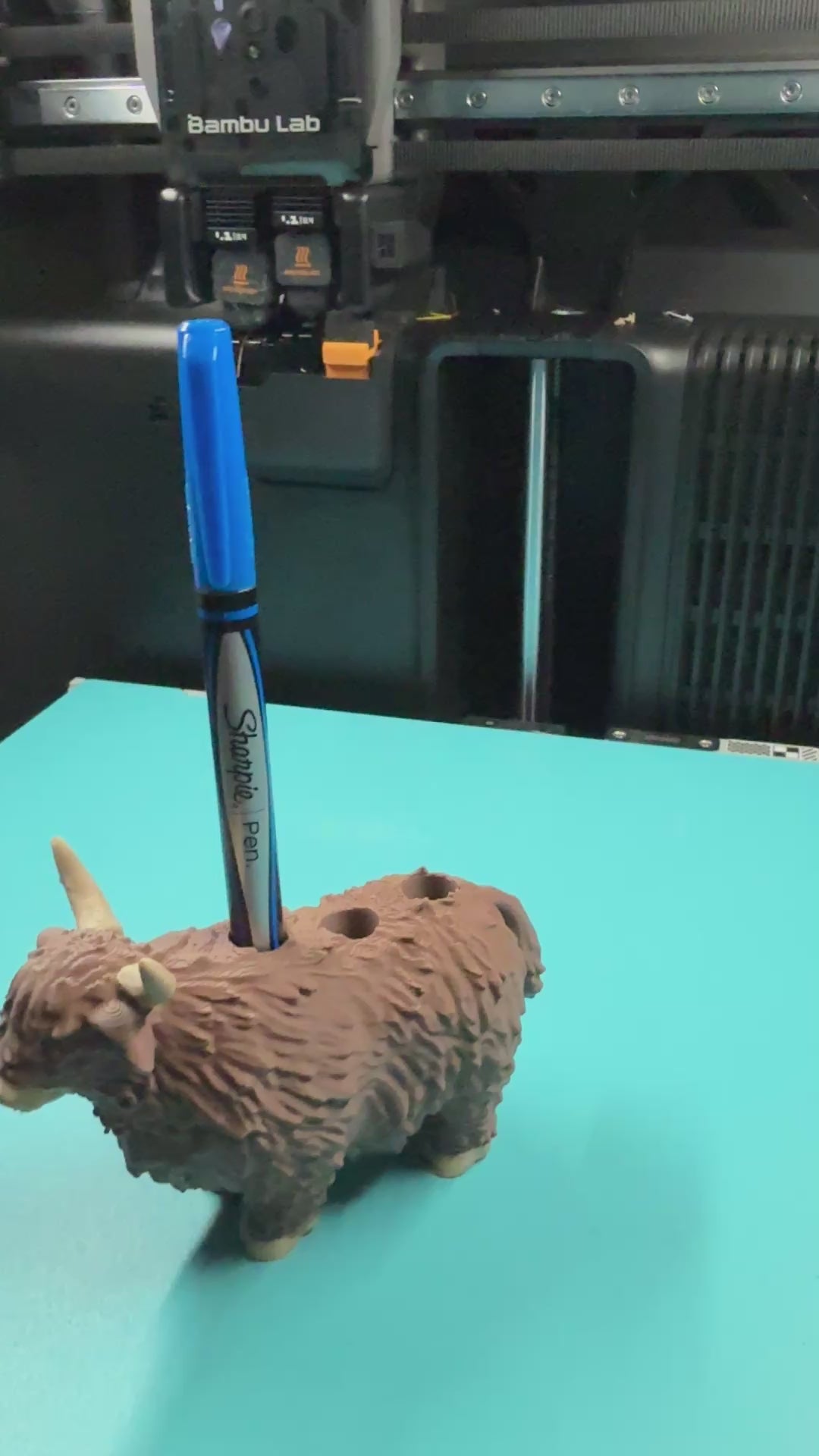 Cow - Miniature Highland