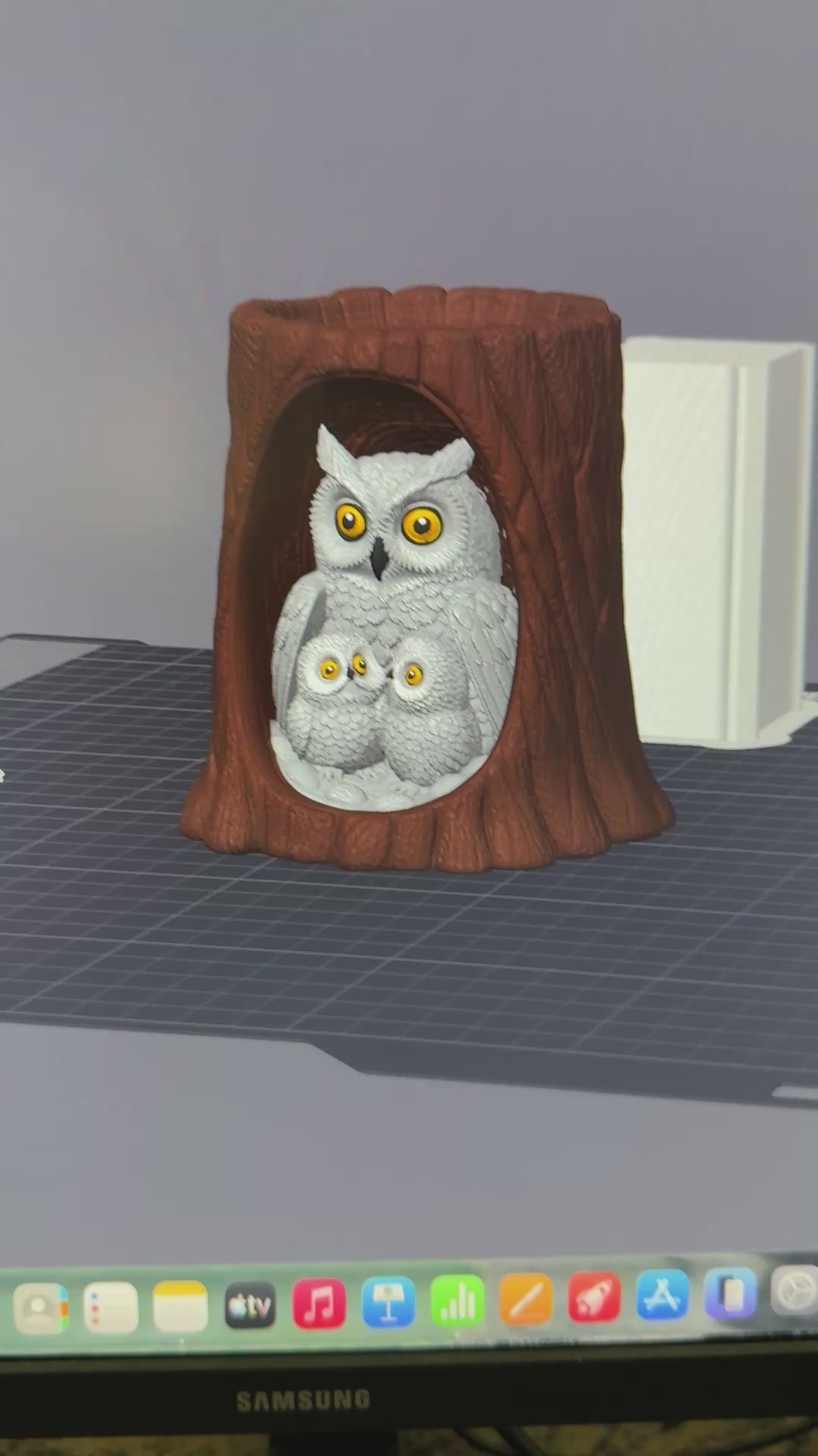 Owl Family in Trunk 3MF + Commercial License