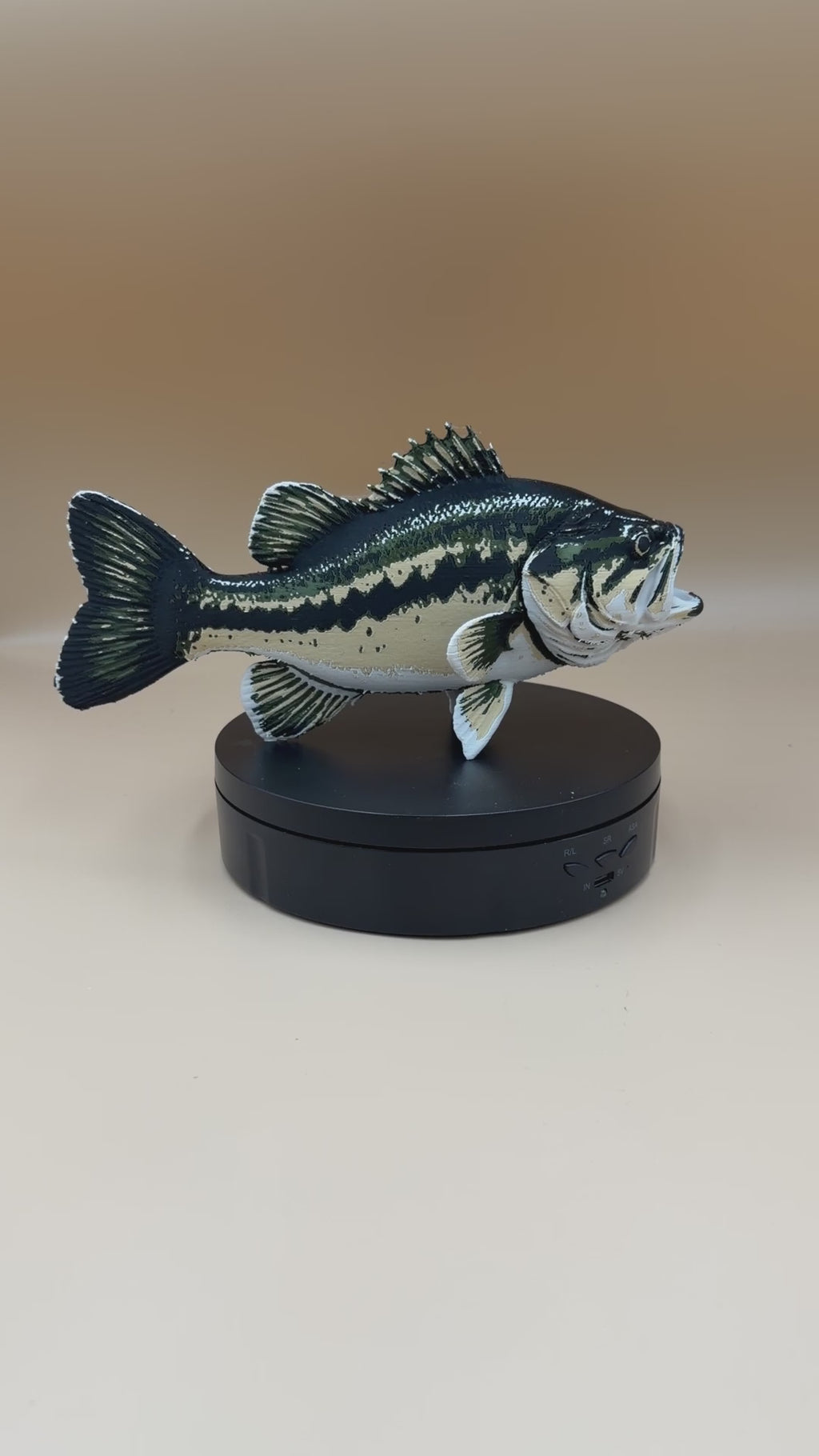 Large Mouth Bass Fish
