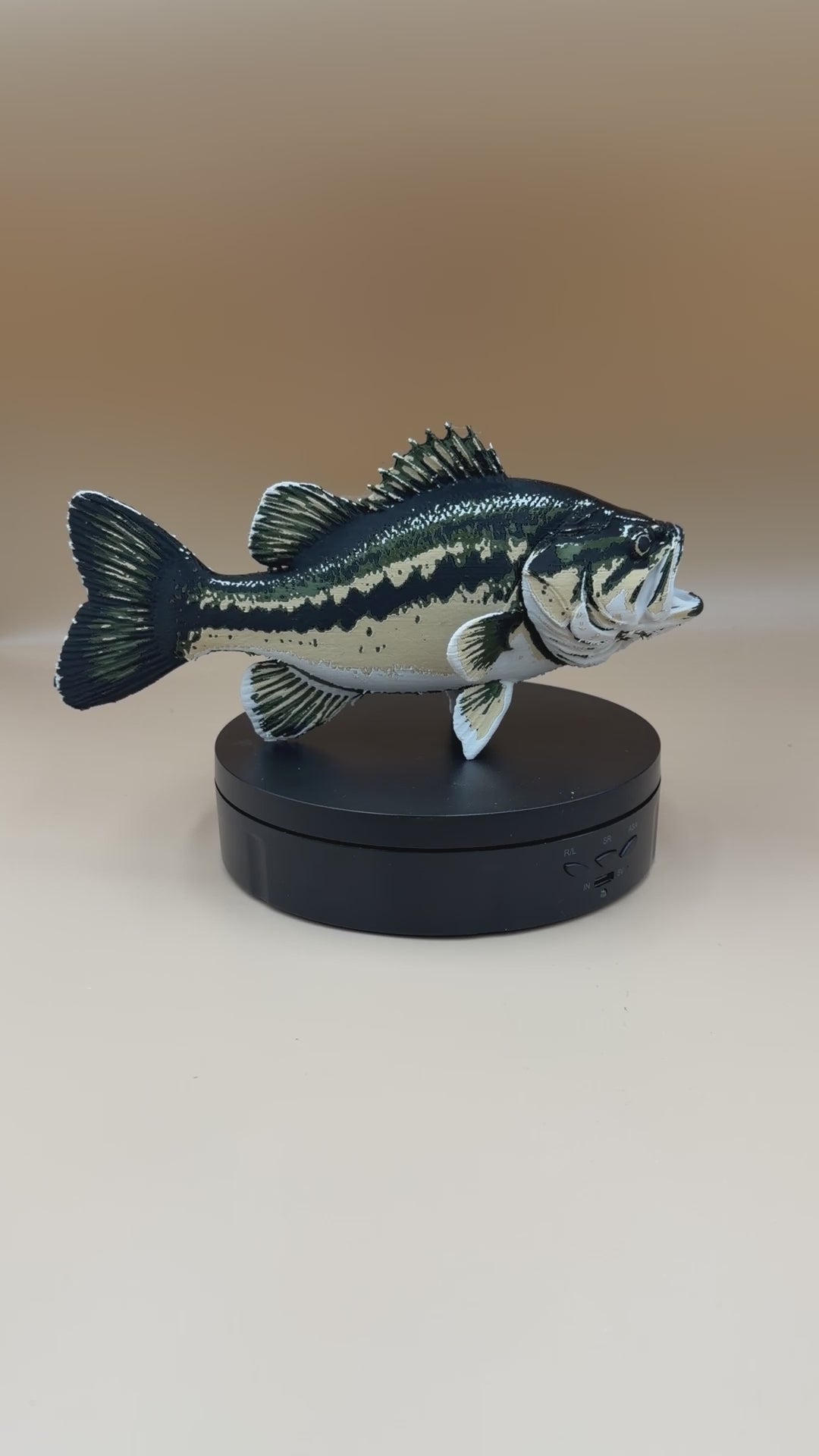 Large Mouth Bass Fish