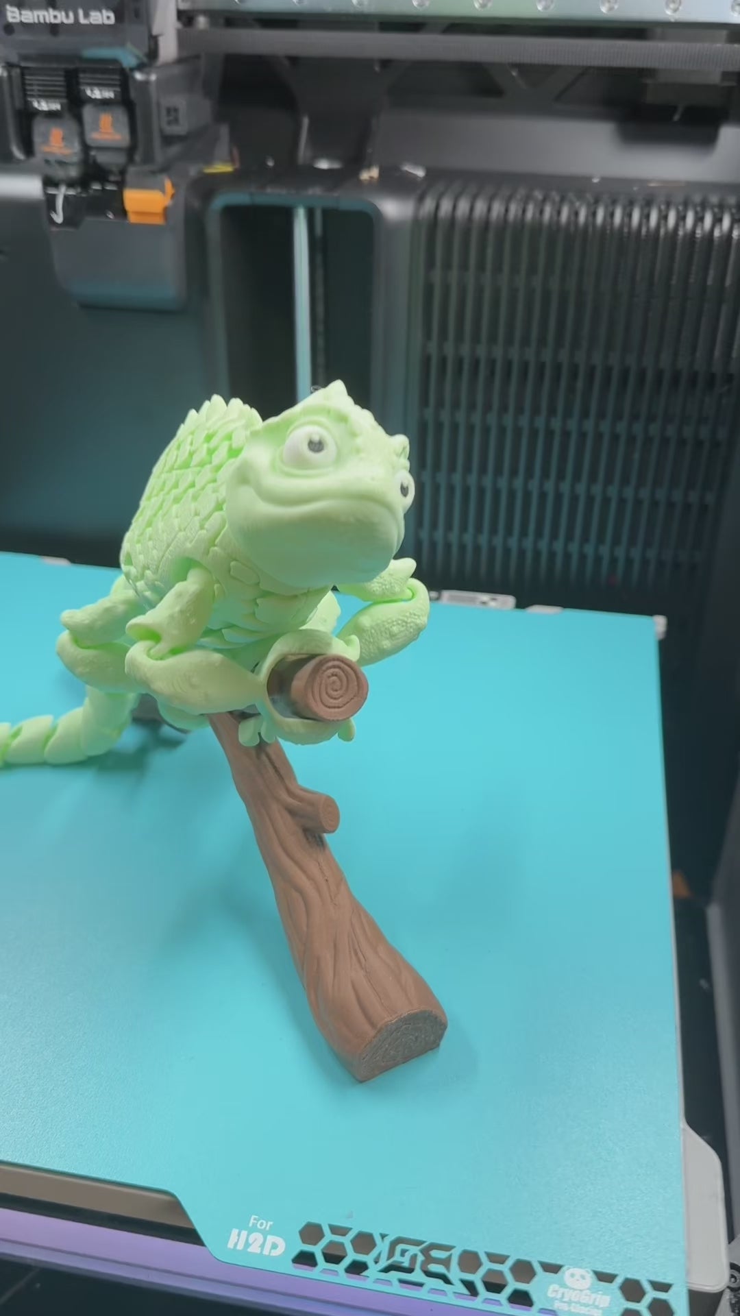 Chameleon on a Stick