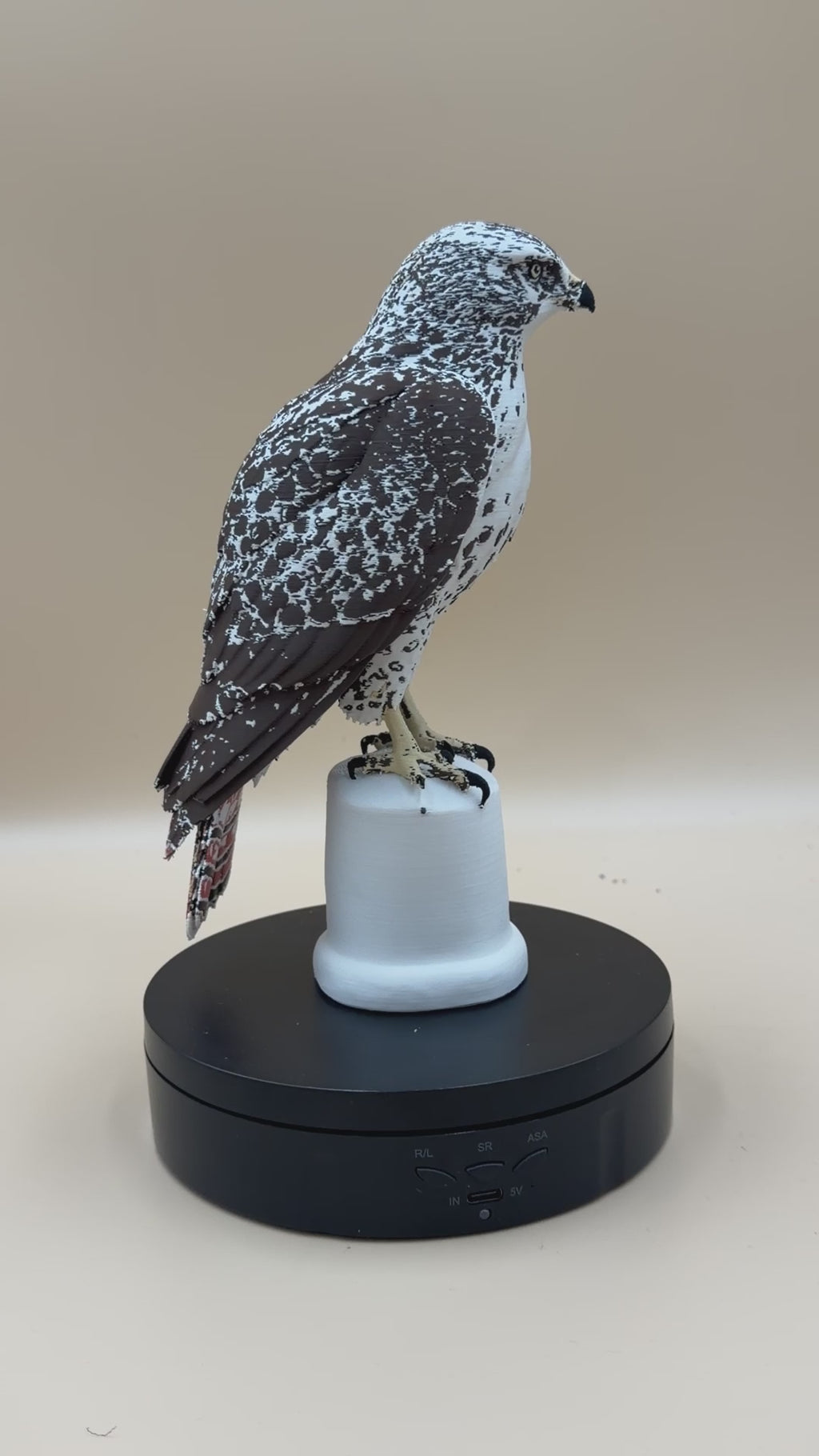 Red-Tailed Hawk - Commercial License
