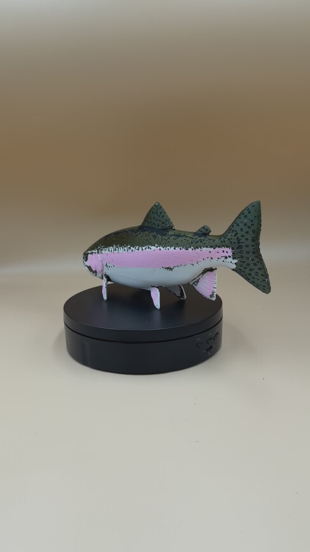 Rainbow Trout Fish